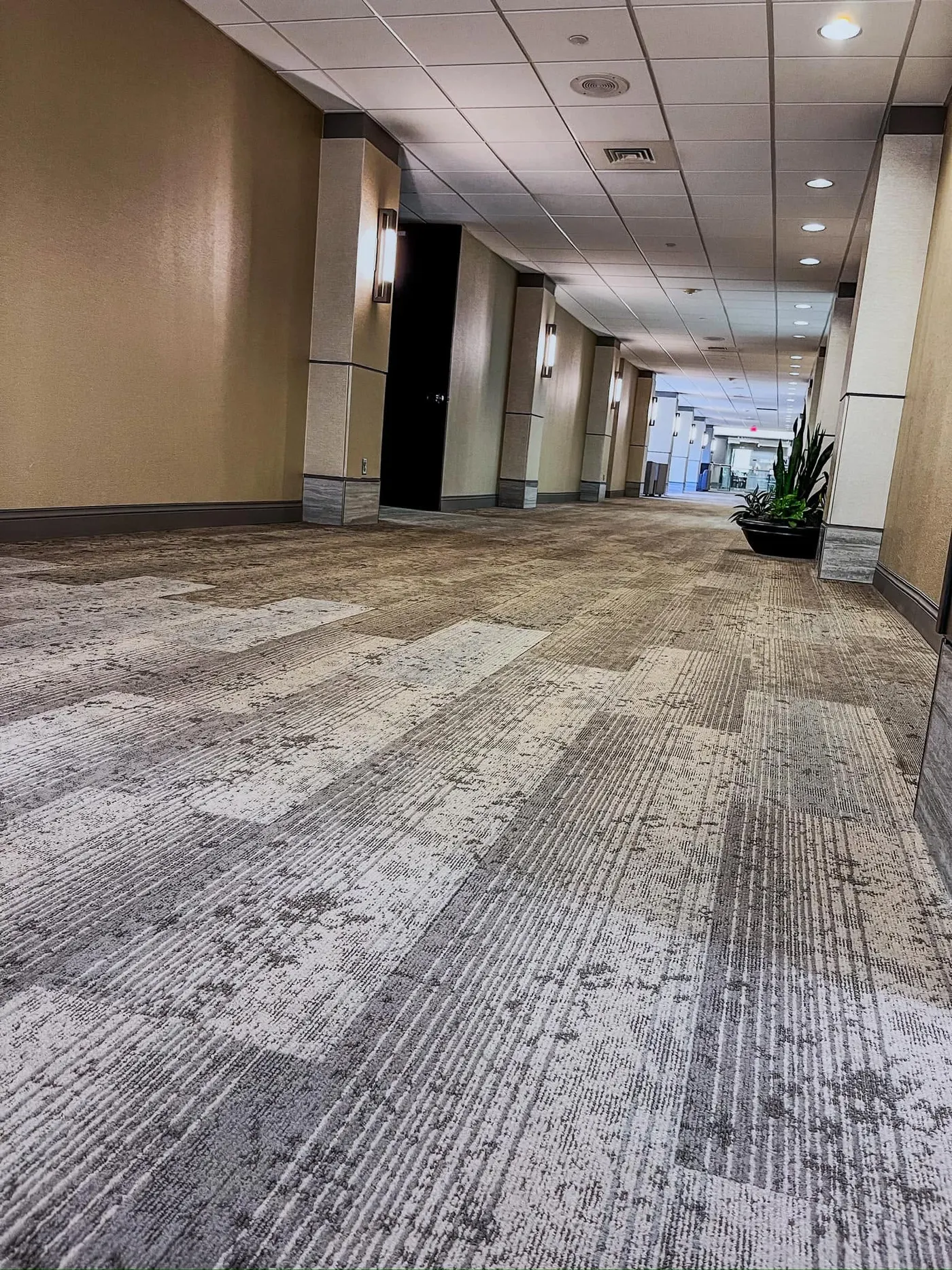 Commercial corridor with patterned broadloom carpet